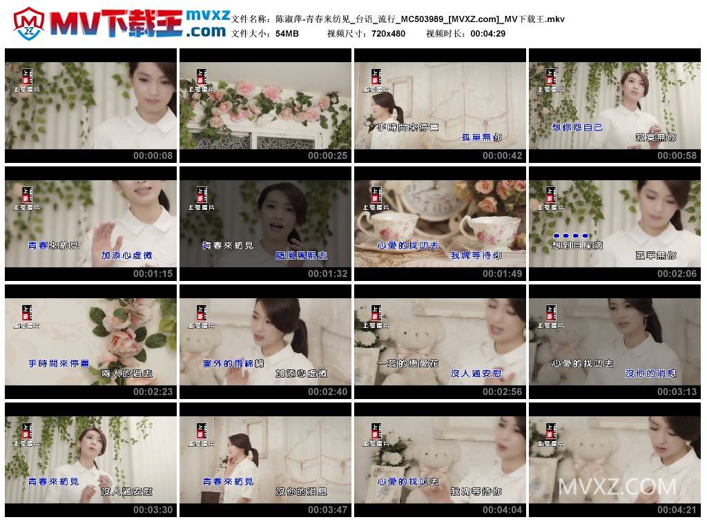 陈淑萍-青春来纺见_台语_流行_MC503989